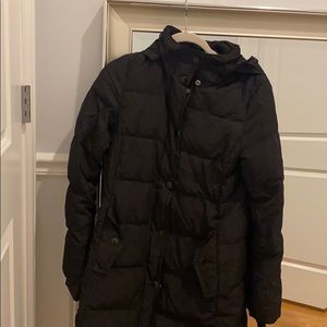 Winter Jacket